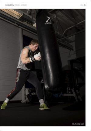 namdalsavisa_seksjon-20170331_000_00_00_013.pdf