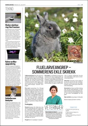 namdalsavisa_seksjon-20170623_000_00_00_017.pdf