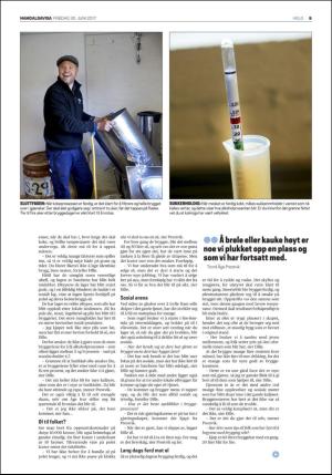 namdalsavisa_seksjon-20170630_000_00_00_009.pdf