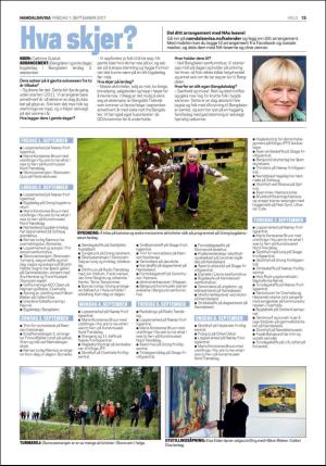 namdalsavisa_seksjon-20170901_000_00_00_013.pdf