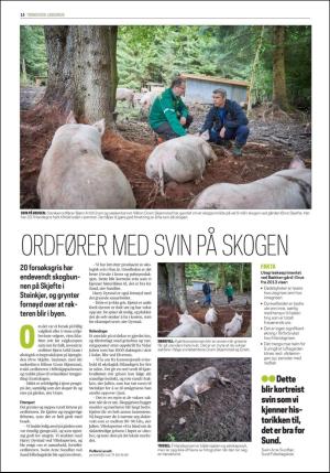 namdalsavisa_seksjon-20170928_000_00_00_014.pdf