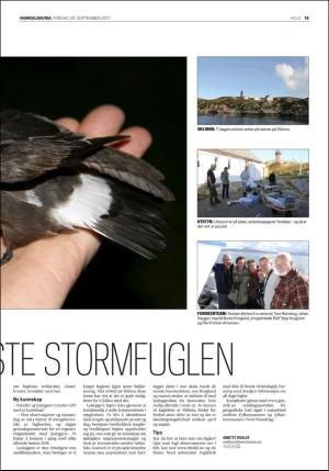 namdalsavisa_seksjon-20170929_000_00_00_015.pdf