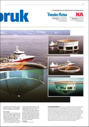 namdalsavisa_seksjon-20171031_000_00_00_003.pdf