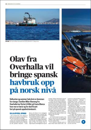 namdalsavisa_seksjon-20171031_000_00_00_016.pdf