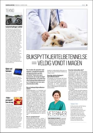 namdalsavisa_seksjon-20180302_000_00_00_019.pdf