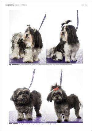 namdalsavisa_seksjon-20180309_000_00_00_009.pdf