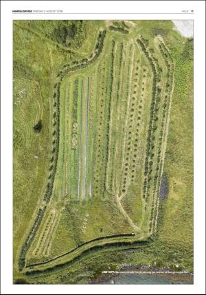 namdalsavisa_seksjon-20180803_000_00_00_011.pdf