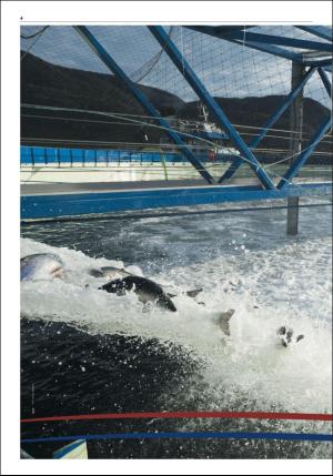 namdalsavisa_seksjon-20181030_000_00_00_004.pdf