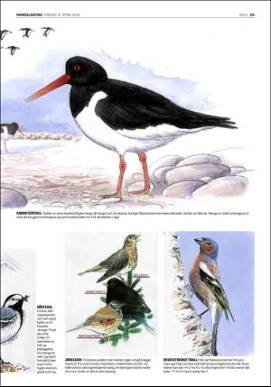 namdalsavisa_seksjon-20190412_000_00_00_023.pdf