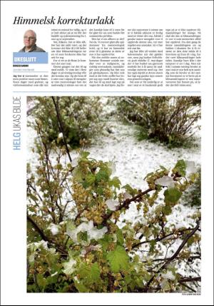 namdalsavisa_seksjon-20190510_000_00_00_032.pdf