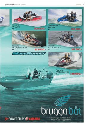 namdalsavisa_seksjon-20190621_000_00_00_003.pdf