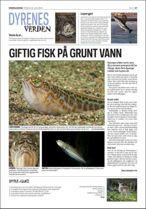 namdalsavisa_seksjon-20190628_000_00_00_027.pdf