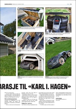 namdalsavisa_seksjon-20190823_000_00_00_013.pdf