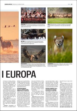 namdalsavisa_seksjon-20190823_000_00_00_021.pdf