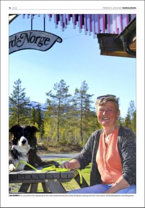 namdalsavisa_seksjon-20200619_000_00_00_014.pdf