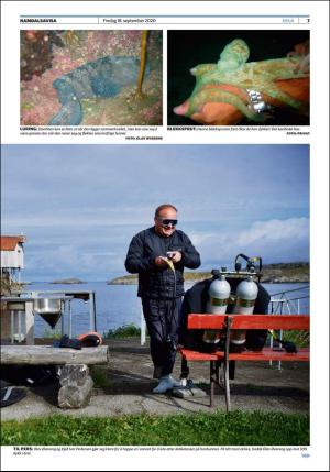 namdalsavisa_seksjon-20200918_000_00_00_007.pdf