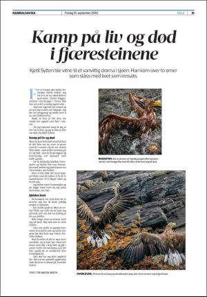 namdalsavisa_seksjon-20200925_000_00_00_015.pdf