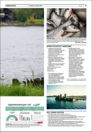 namdalsavisa_seksjon-20201030_000_00_00_011.pdf