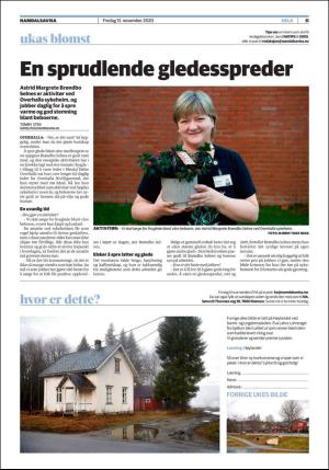 namdalsavisa_seksjon-20201113_000_00_00_011.pdf