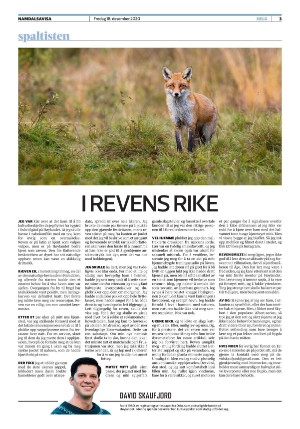 namdalsavisa_seksjon-20201218_000_00_00_003.pdf