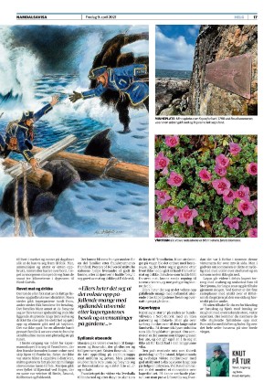 namdalsavisa_seksjon-20210409_000_00_00_017.pdf