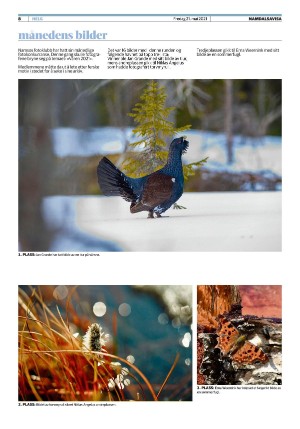 namdalsavisa_seksjon-20210521_000_00_00_008.pdf