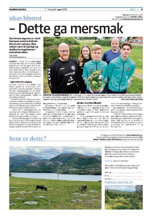 namdalsavisa_seksjon-20210813_000_00_00_011.pdf