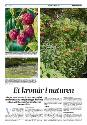 namdalsavisa_seksjon-20210820_000_00_00_016.pdf