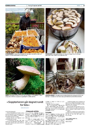 namdalsavisa_seksjon-20210917_000_00_00_011.pdf