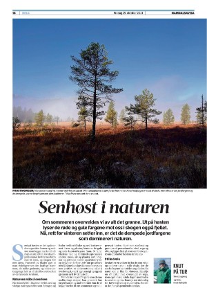 namdalsavisa_seksjon-20211029_000_00_00_016.pdf