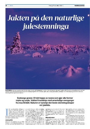 namdalsavisa_seksjon-20211217_000_00_00_020.pdf