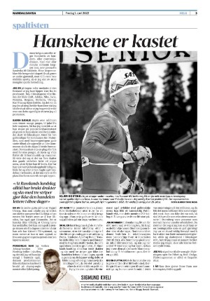 namdalsavisa_seksjon-20220401_000_00_00_003.pdf