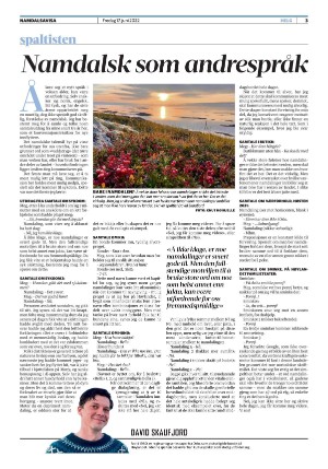 namdalsavisa_seksjon-20220617_000_00_00_003.pdf