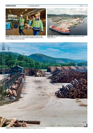 namdalsavisa_seksjon-20220715_000_00_00_007.pdf