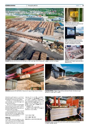 namdalsavisa_seksjon-20220715_000_00_00_011.pdf