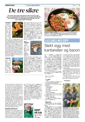 namdalsavisa_seksjon-20220902_000_00_00_009.pdf