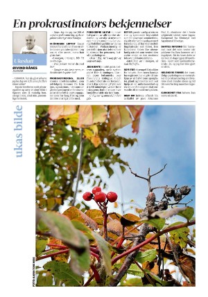 namdalsavisa_seksjon-20220923_000_00_00_024.pdf