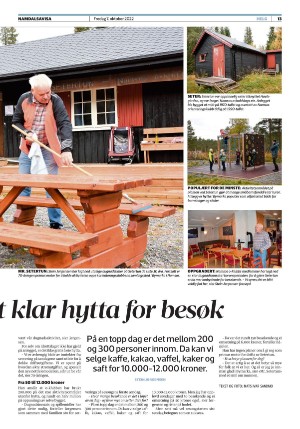 namdalsavisa_seksjon-20221007_000_00_00_013.pdf