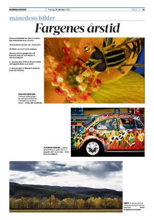 namdalsavisa_seksjon-20221028_000_00_00_013.pdf