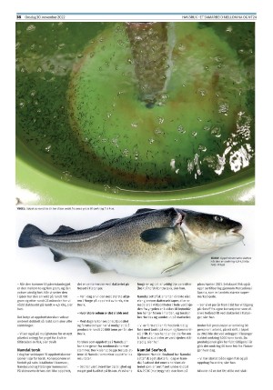namdalsavisa_seksjon-20221130_000_00_00_038.pdf