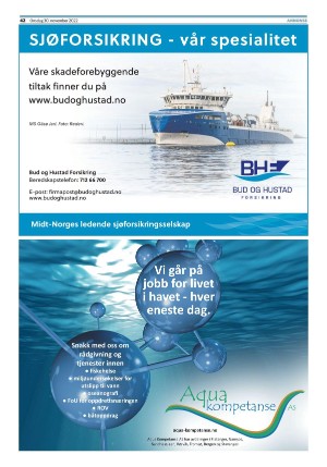 namdalsavisa_seksjon-20221130_000_00_00_042.pdf