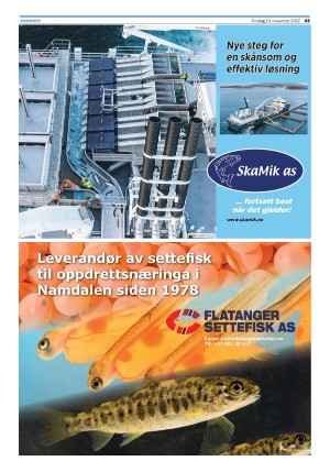 namdalsavisa_seksjon-20221130_000_00_00_043.pdf