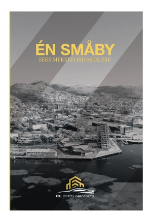 namdalsavisa_seksjon-20250812_000_00_00_006.pdf
