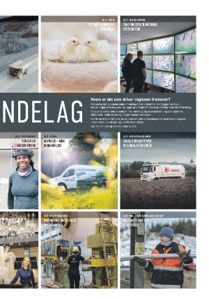 namdalsavisa_seksjon-20260203_000_00_00_003.pdf
