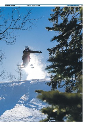 namdalsavisa_seksjon-20260212_000_00_00_017.pdf