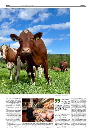 nationen-20251122_000_00_00_009.pdf