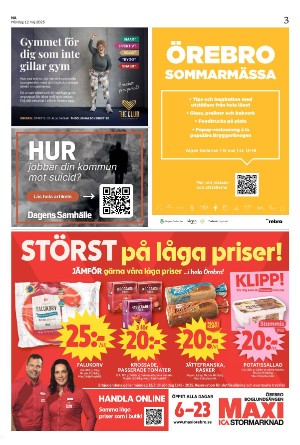 nerikesallehanda_bergslagen-20250512_000_00_00_003.pdf