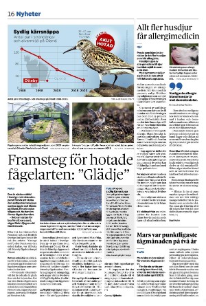 nerikesallehanda_bergslagen-20250513_000_00_00_016.pdf