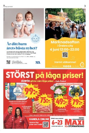 nerikesallehanda_bergslagen-20250602_000_00_00_003.pdf