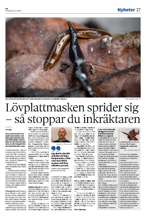 nerikesallehanda_bergslagen-20250620_000_00_00_017.pdf